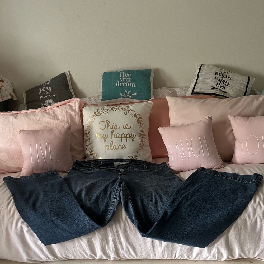 Trademark Hydraulic Jeans size 22